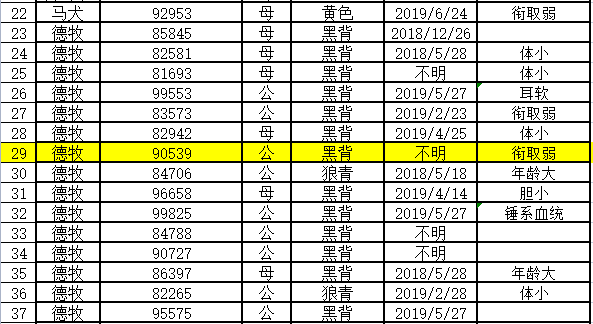 多只淘汰警犬拍出万元高价 33万最高竞价警犬淘汰原因为“衔取弱”