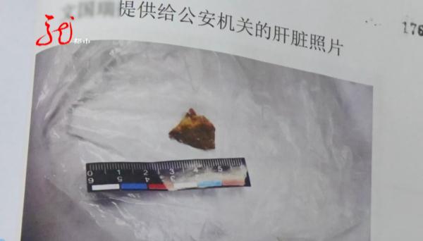 保安伙同业主毒死小区11只宠物犬，获刑三年